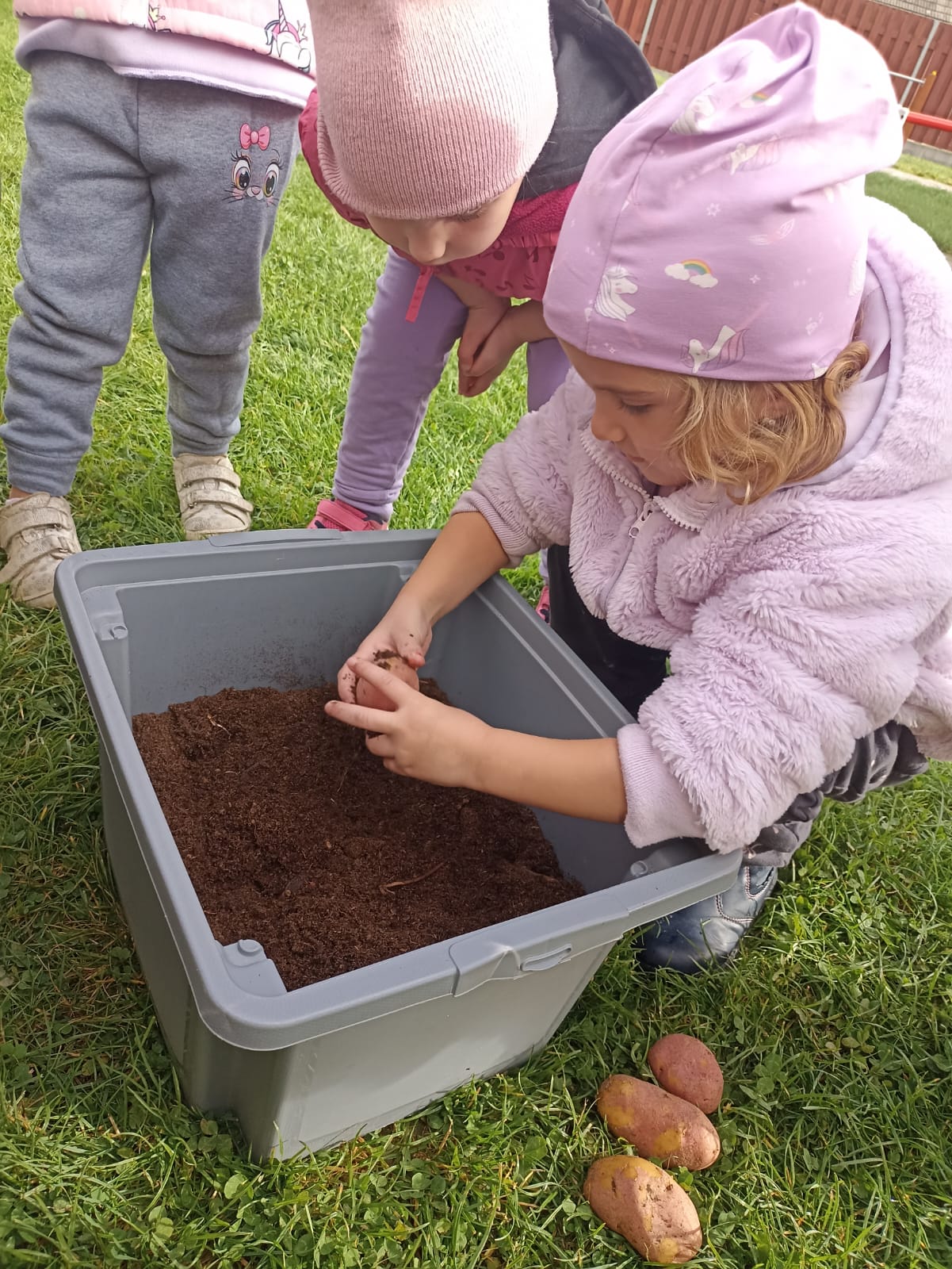 Obrázek WhatsApp, 2025-10-14 v 12.21.46_5cd3388c