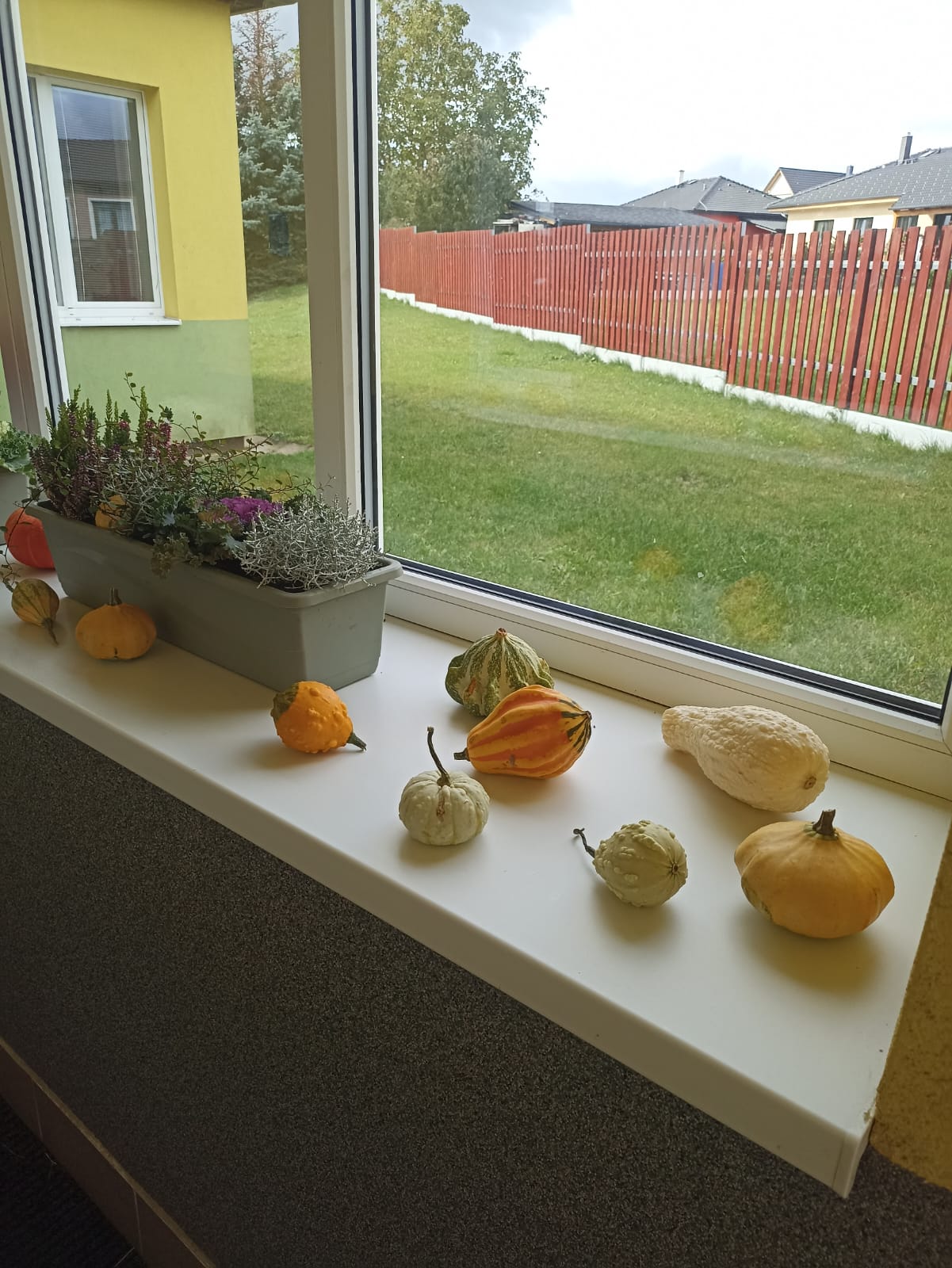 Obrázek WhatsApp, 2025-10-09 v 18.33.01_fa76012b