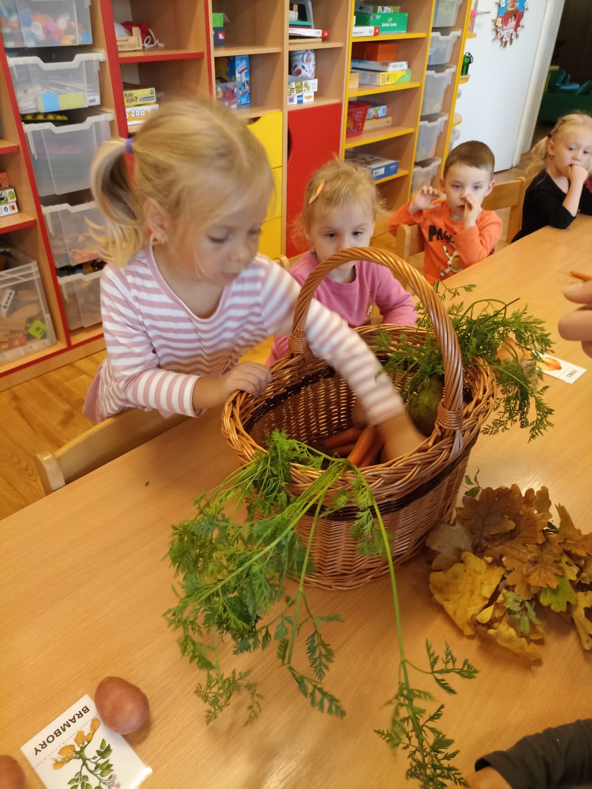 Obrázek WhatsApp, 2025-10-14 v 12.21.49_924a3bc9