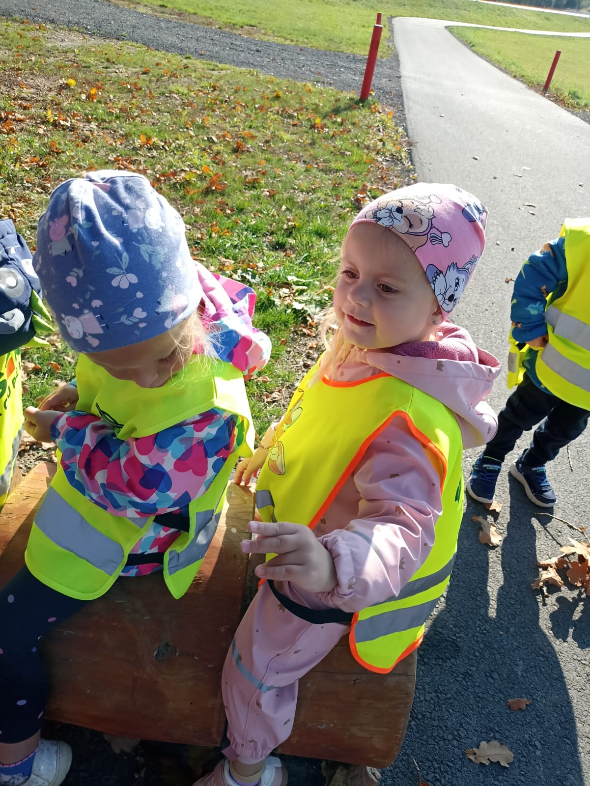 Obrázek WhatsApp, 2025-10-14 v 12.23.36_0c21e52f