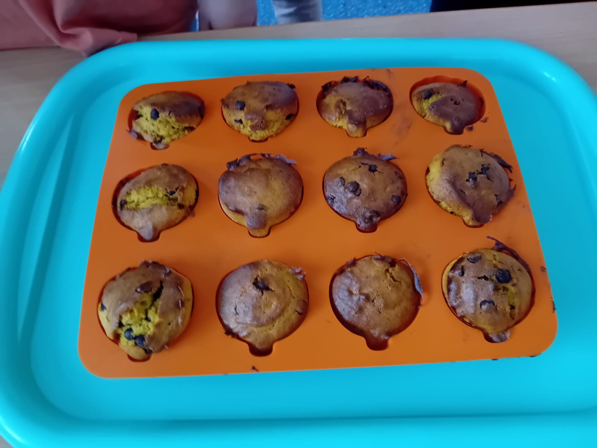 WhatsApp Image 2025-11-23 at 15.53.20