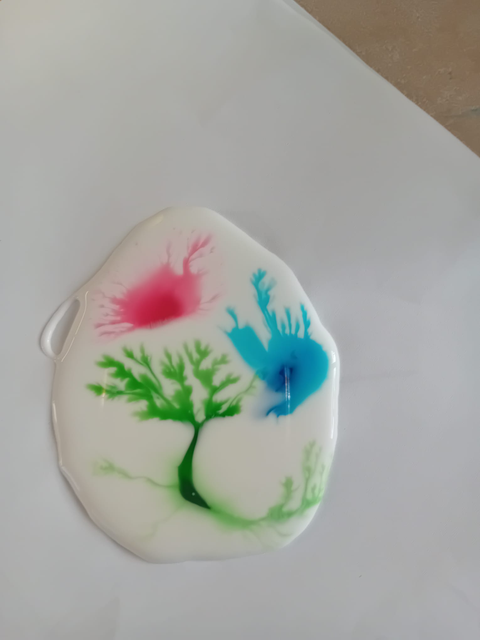 WhatsApp Image 2025-11-23 at 18.35.54 (1)