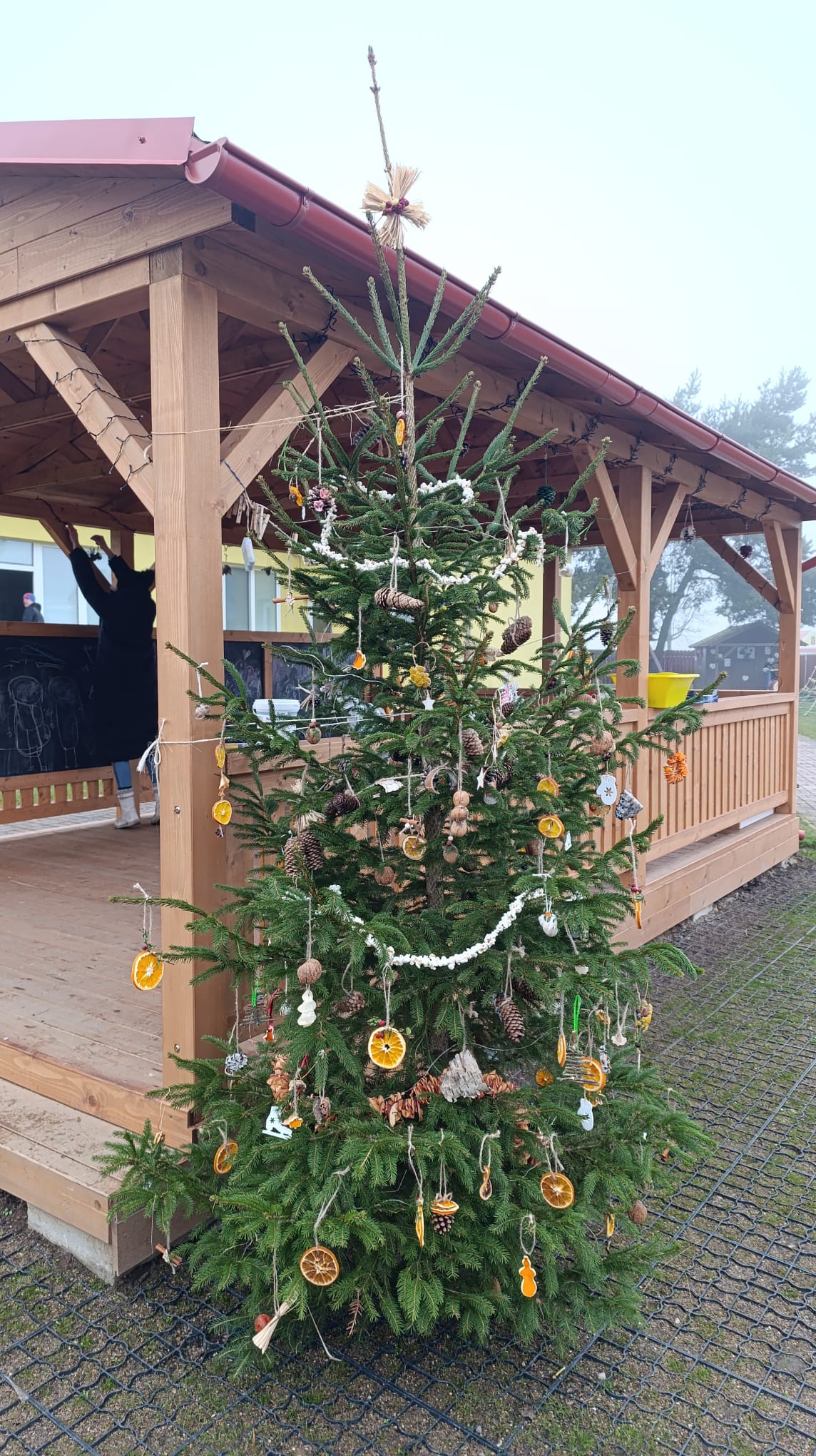 8b6981f1-8c70-4ff9-9188-08c24650be2d