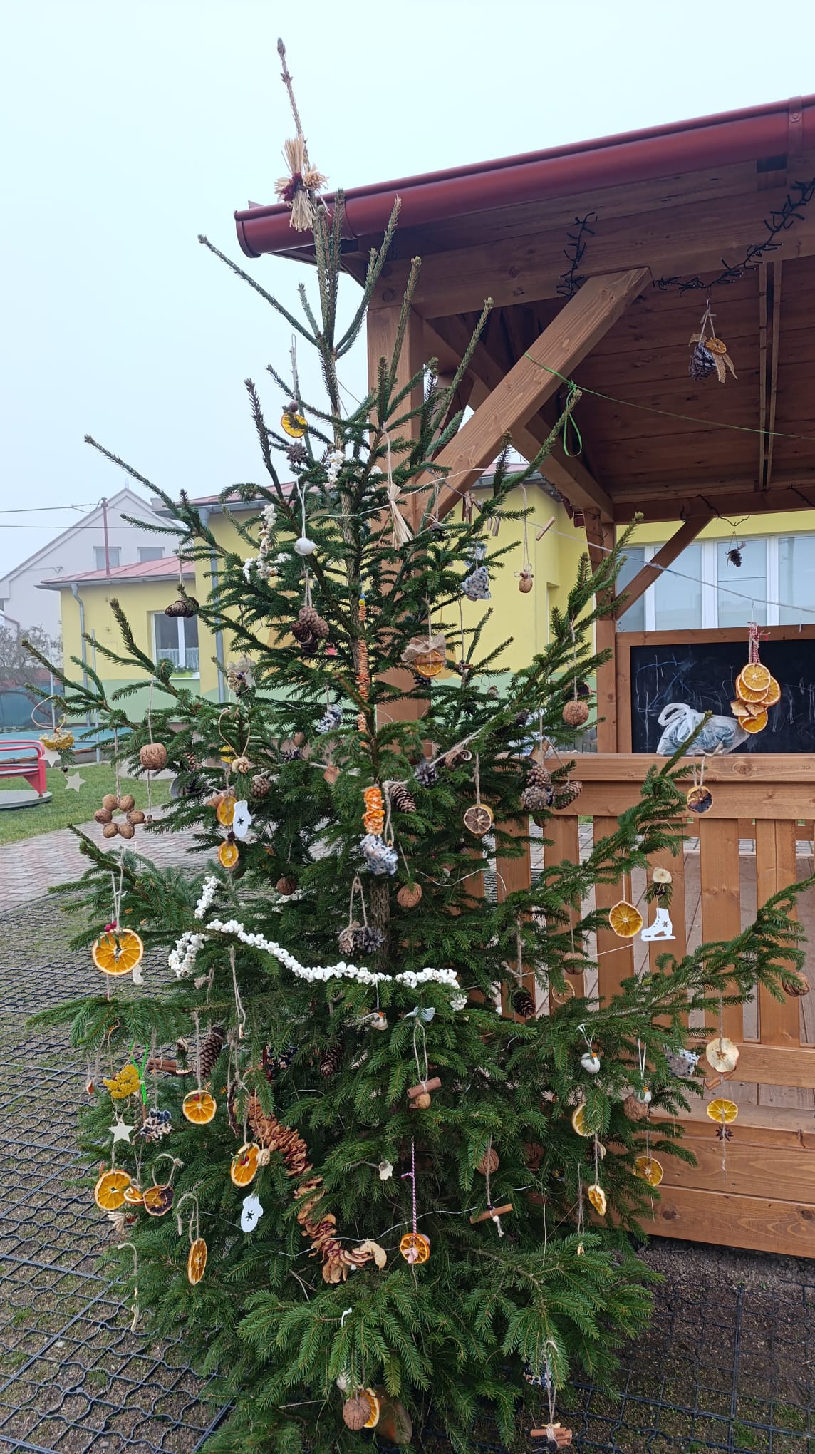 74e31b7f-ff62-422f-9b33-3fac656b70bb