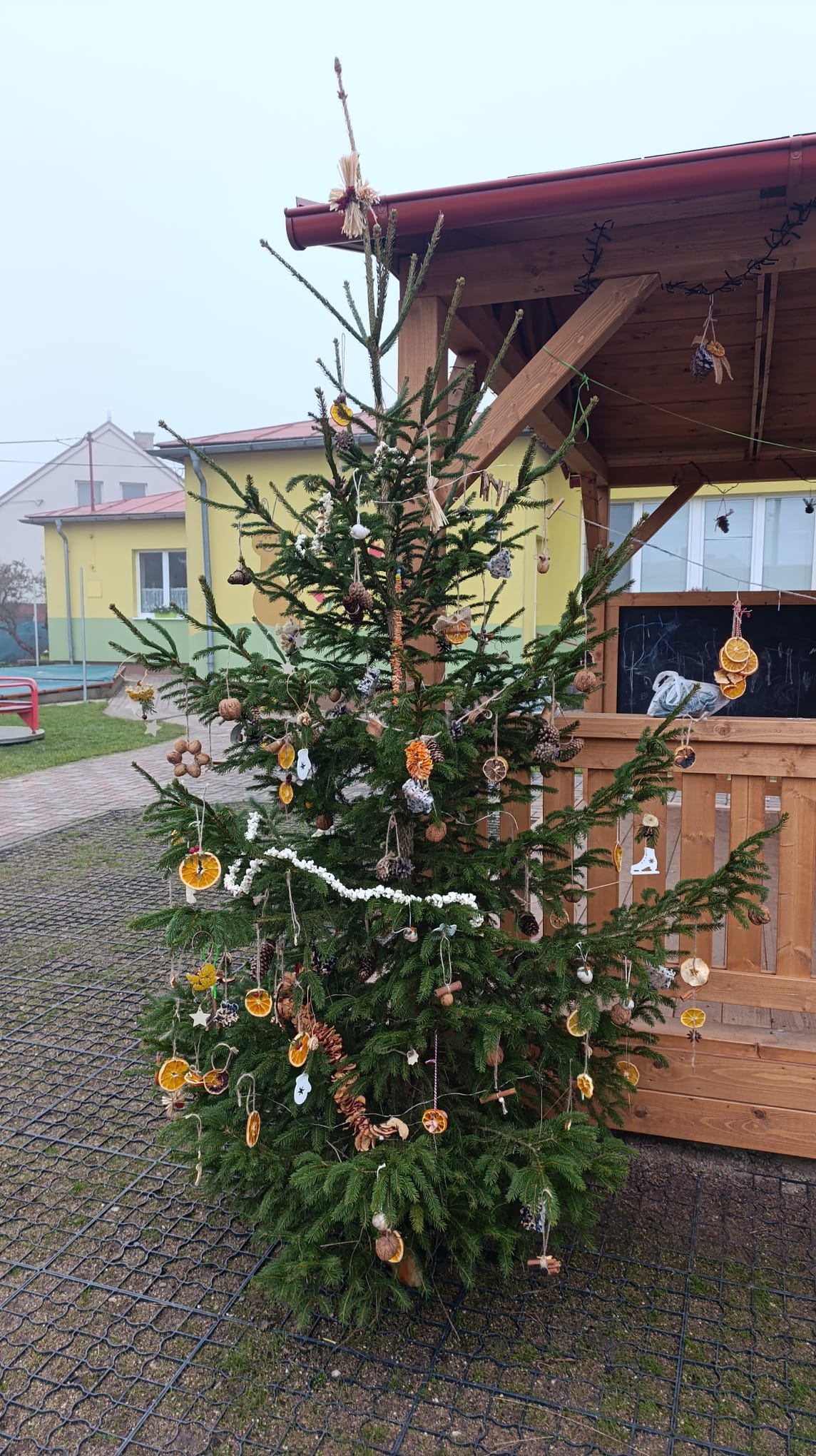 91a28a27-7ed0-4834-a148-e5f514d9601a