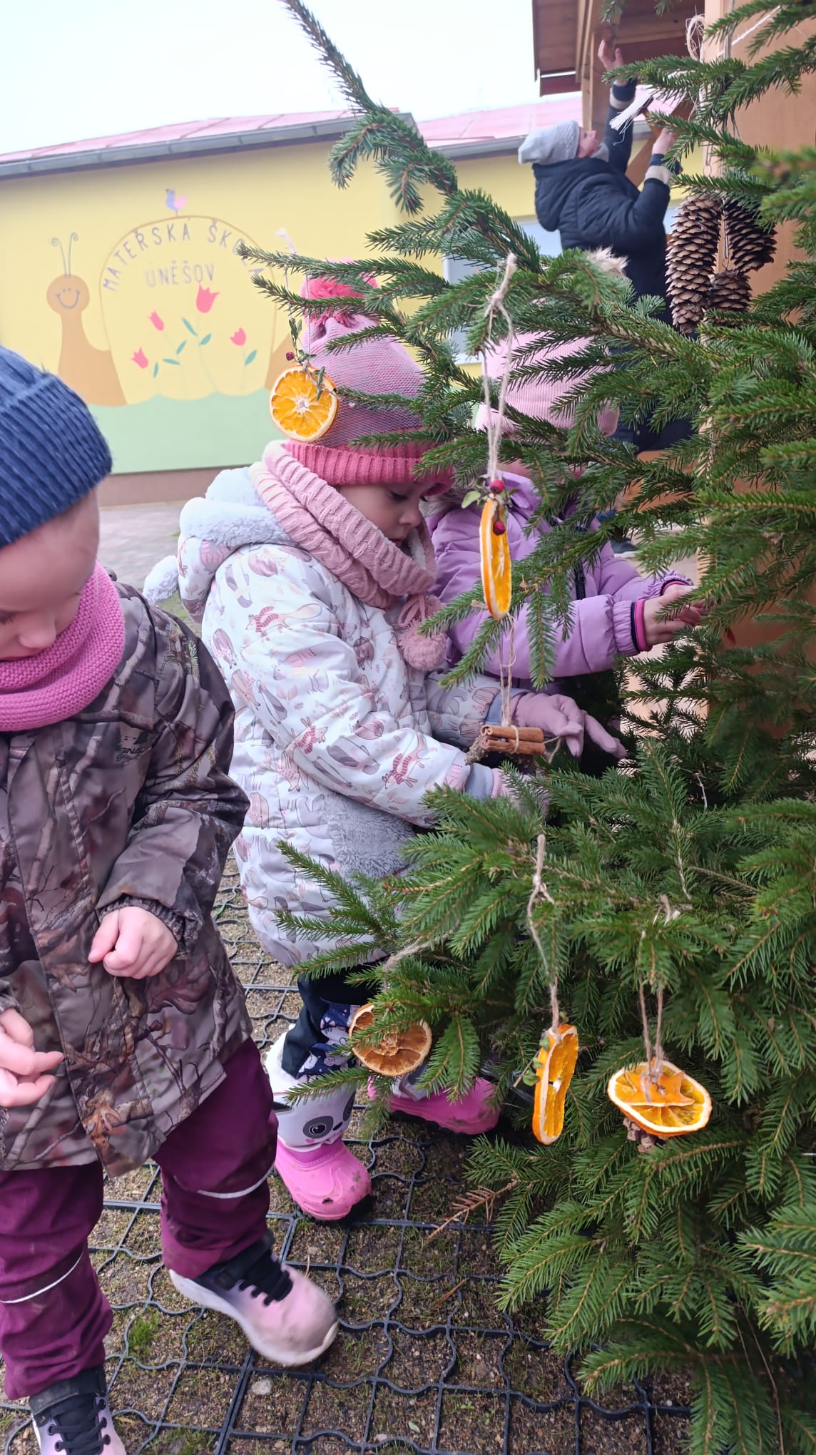 bd222af8-15a2-4d81-bcc9-92a1b5d6612f