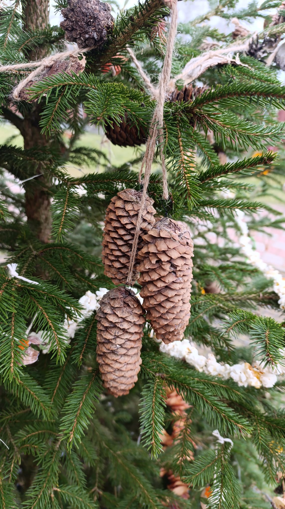 3aee9c06-683b-4e26-b345-551c2252e13a