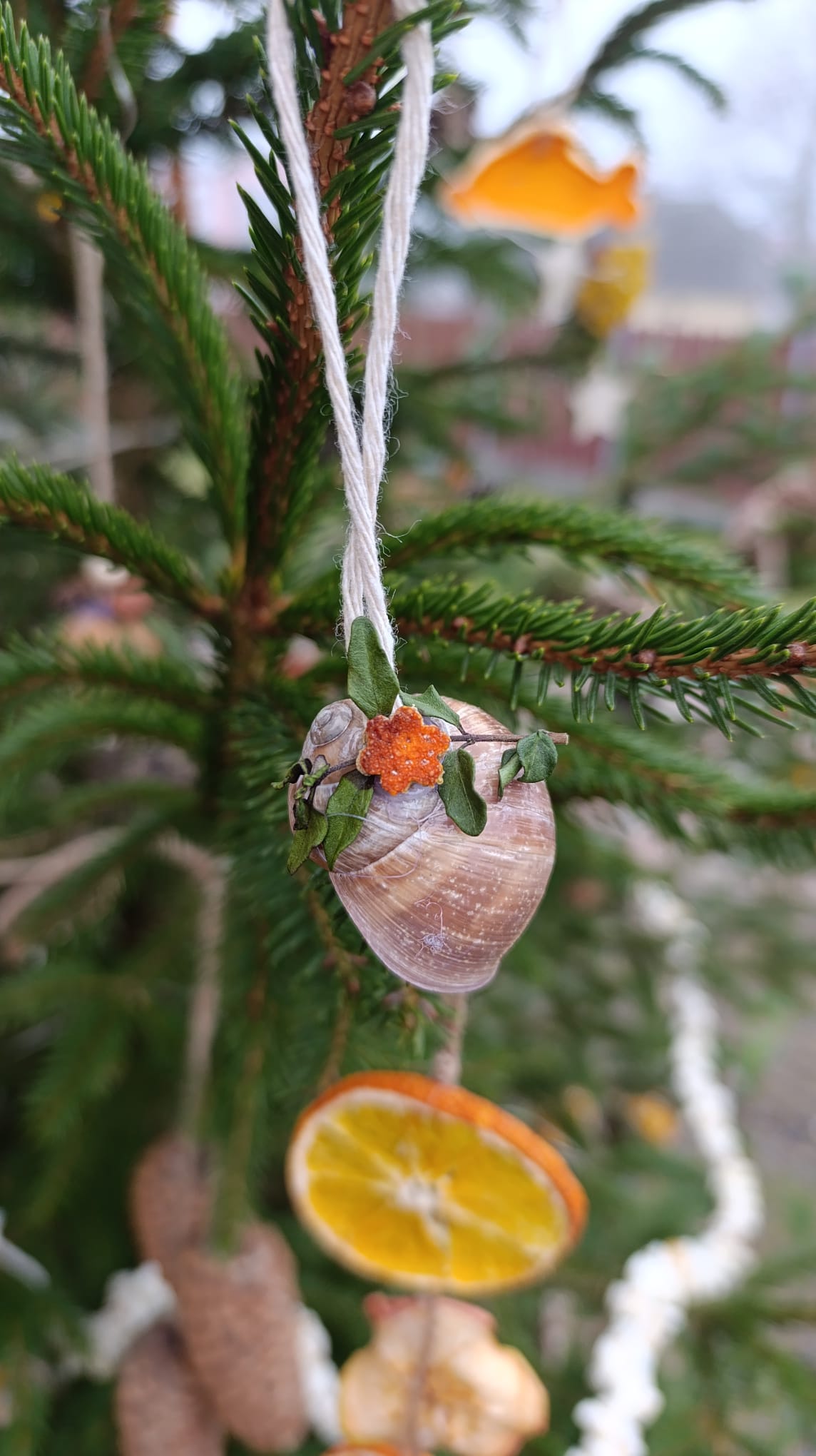 46be218e-019e-4674-a6fb-fb81428c68bf