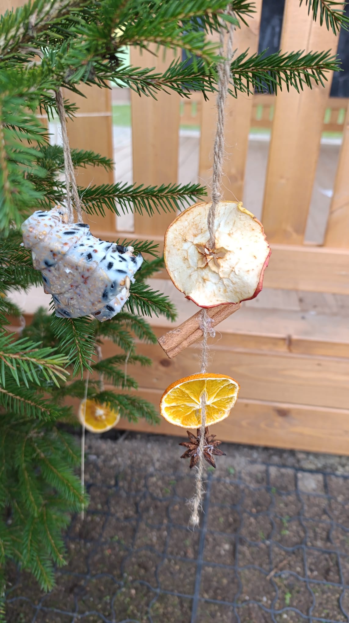 66812ee4-51db-41de-946d-a201195852a1