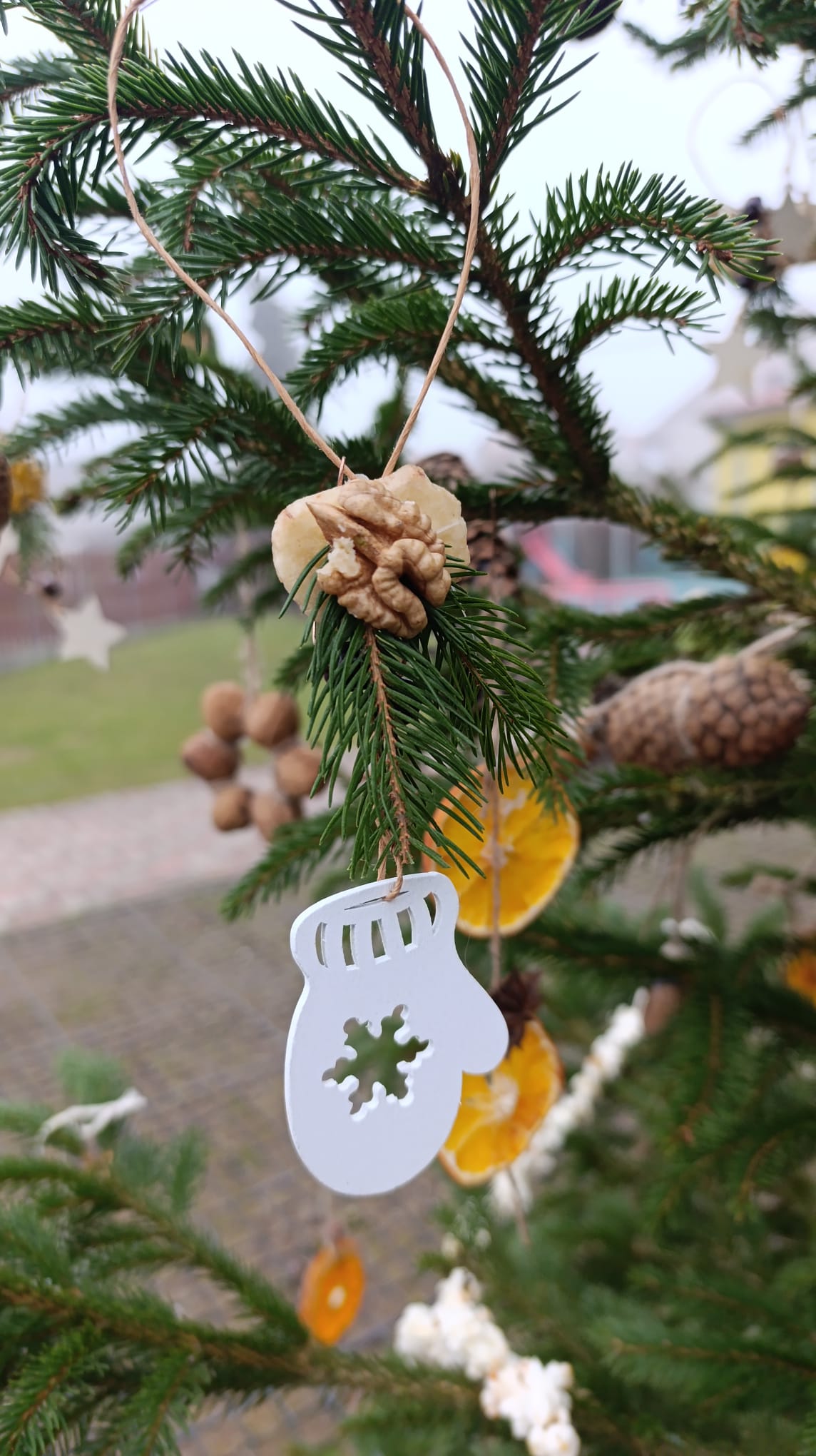 98678daa-fc16-49be-b89e-ac96d429f36d