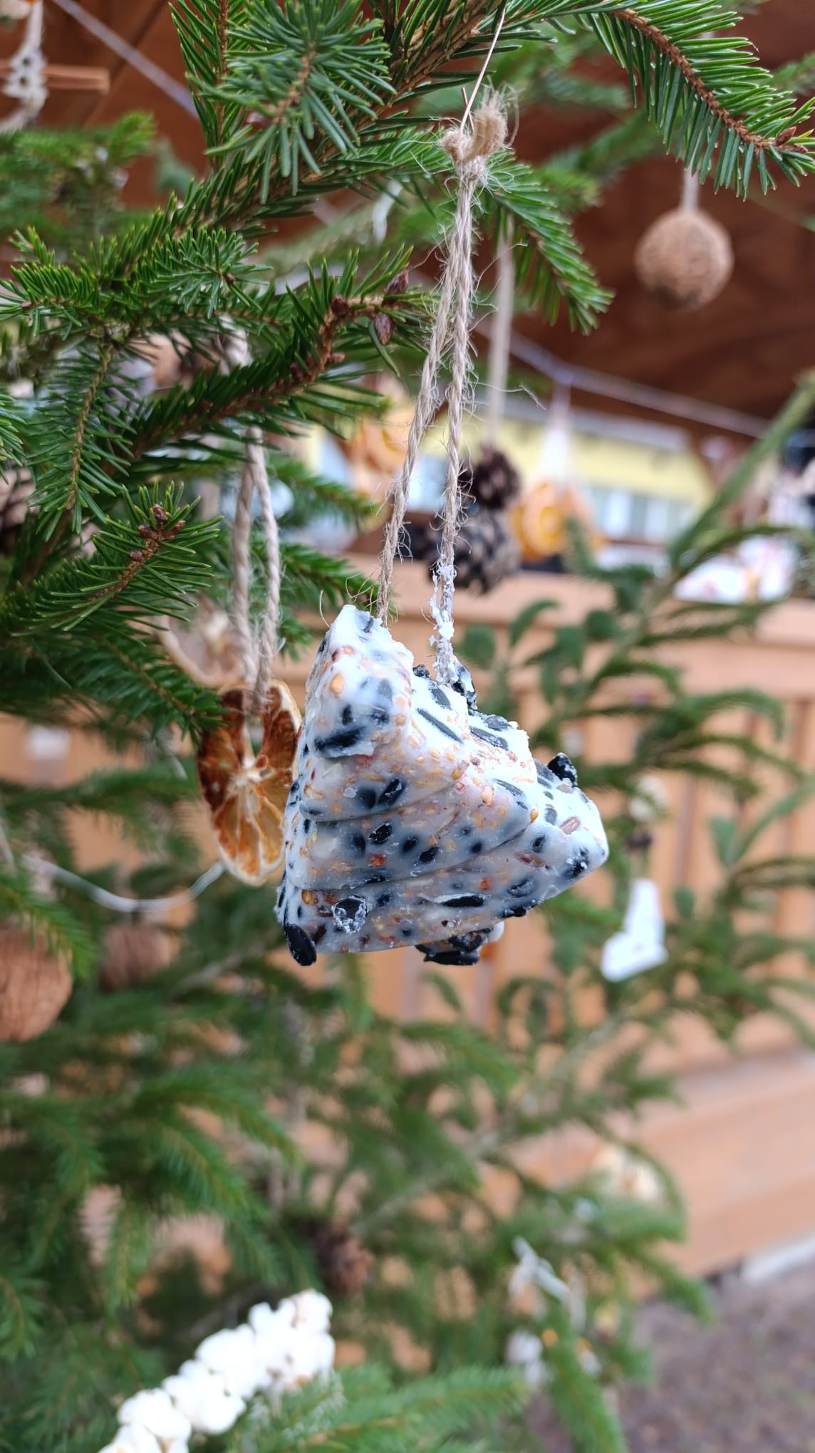 b225979d-1b95-4d95-8651-c29dc4b76db9