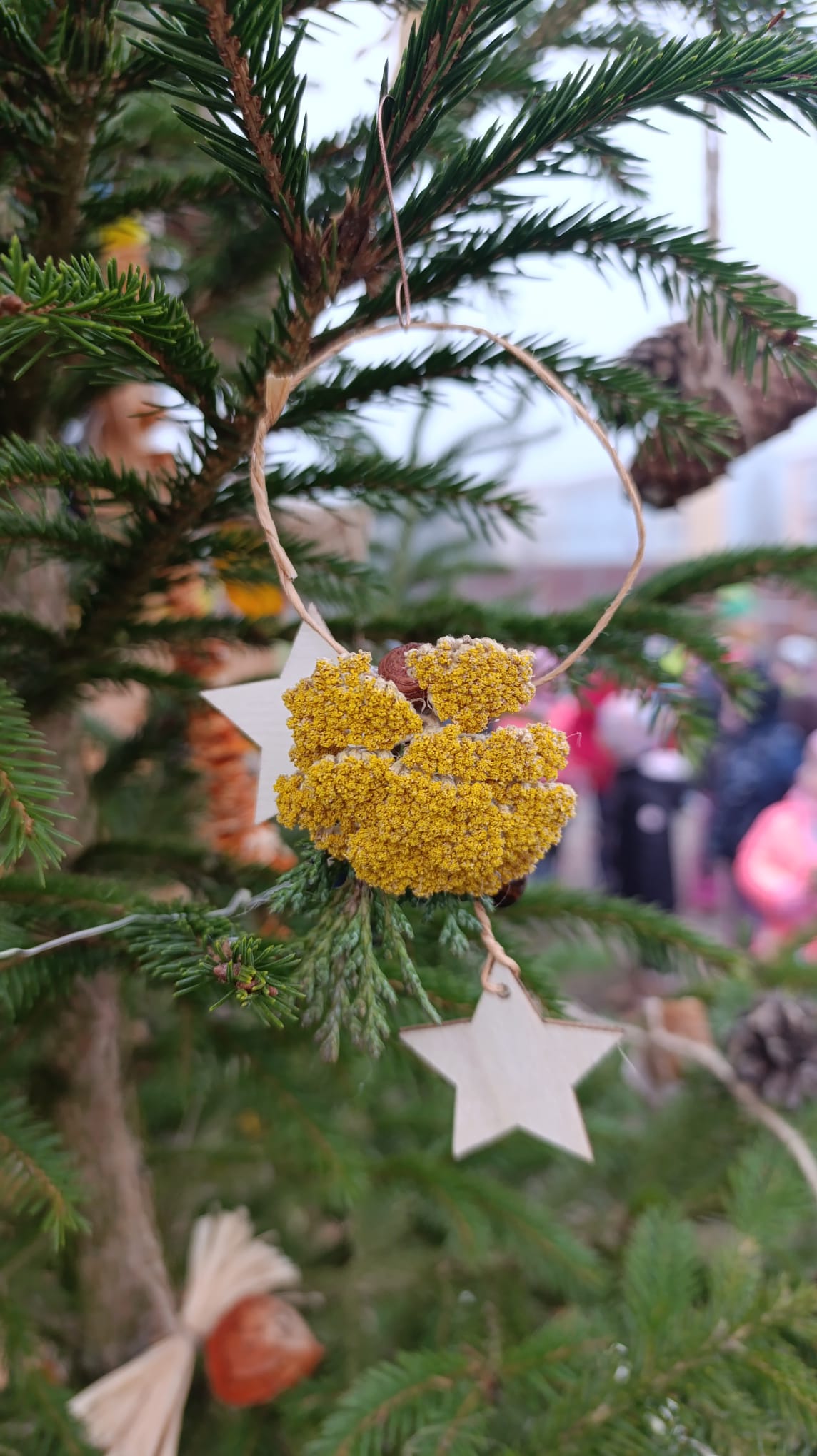 ba85f886-5d3e-4237-a2fb-b3bce9d7d065