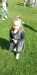 Obrázek WhatsApp, 2025-04-30 v 12.48.35_8d113dba